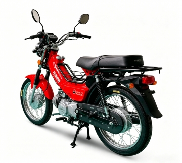 RAM-Z110