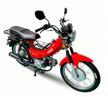 RAM-Z110