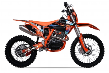 RAM-X6