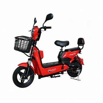 RAM-Family Bike