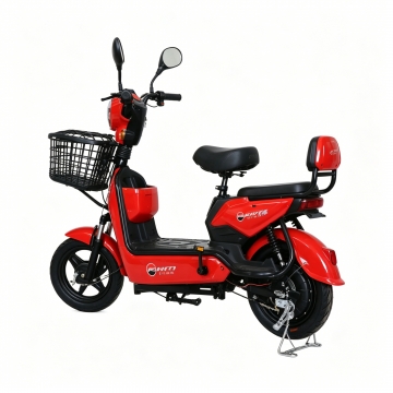 RAM-Family Bike