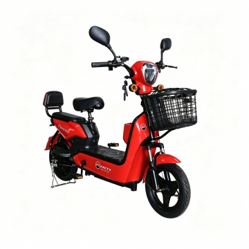 RAM-Family Bike